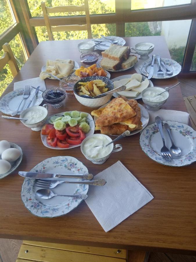 Guesthouse Data Mestia Kültér fotó