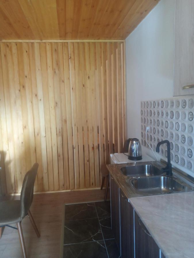 Guesthouse Data Mestia Kültér fotó